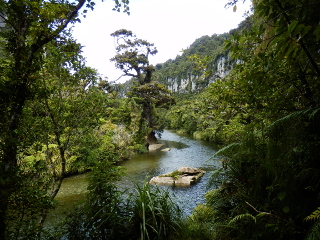 Blick auf Pororari-River