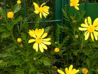 Blick zum Startpunkt der Tour