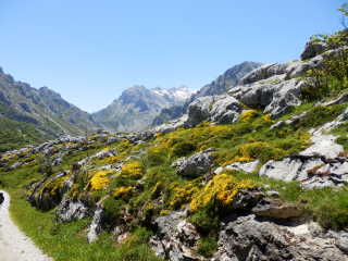Blick auf die Picos nahe Majada de Tobaos