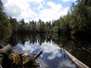 Spiegelung am Lake Wombat