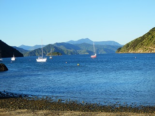 Queen Charlotte Sound Picton