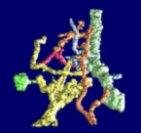 3D-Darstellung eines Regenwurmgangsystem