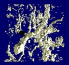 Visualisierung aller zum Gangsystem gehöhrenden Luftporen.