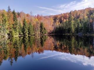 An der Martinsklause