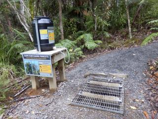 Kaurischutzmaßnahme am Weganfang