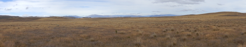 Panoramablick vom Cowans Hill