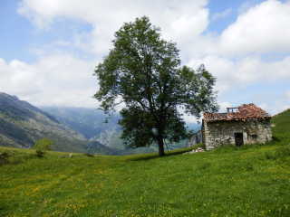 Angekommen auf der Alm