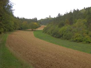 Blick voraus auf die Lichtenburg