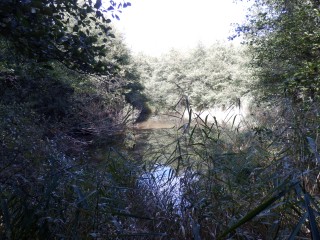 Natur wie sie mal war